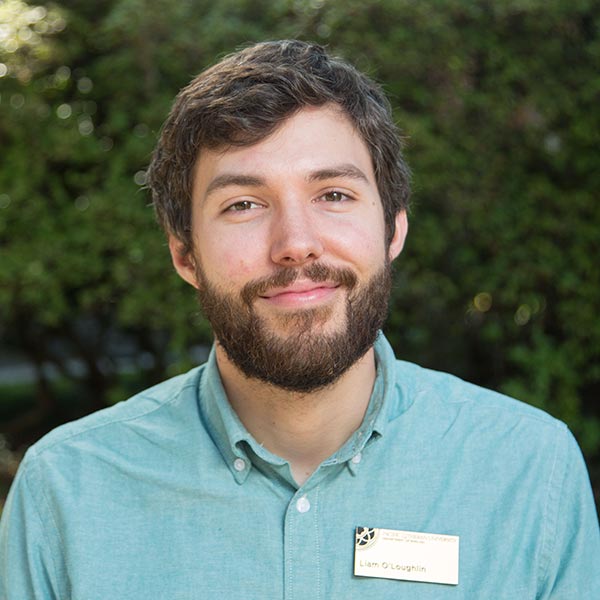 Liam O'Loughlin