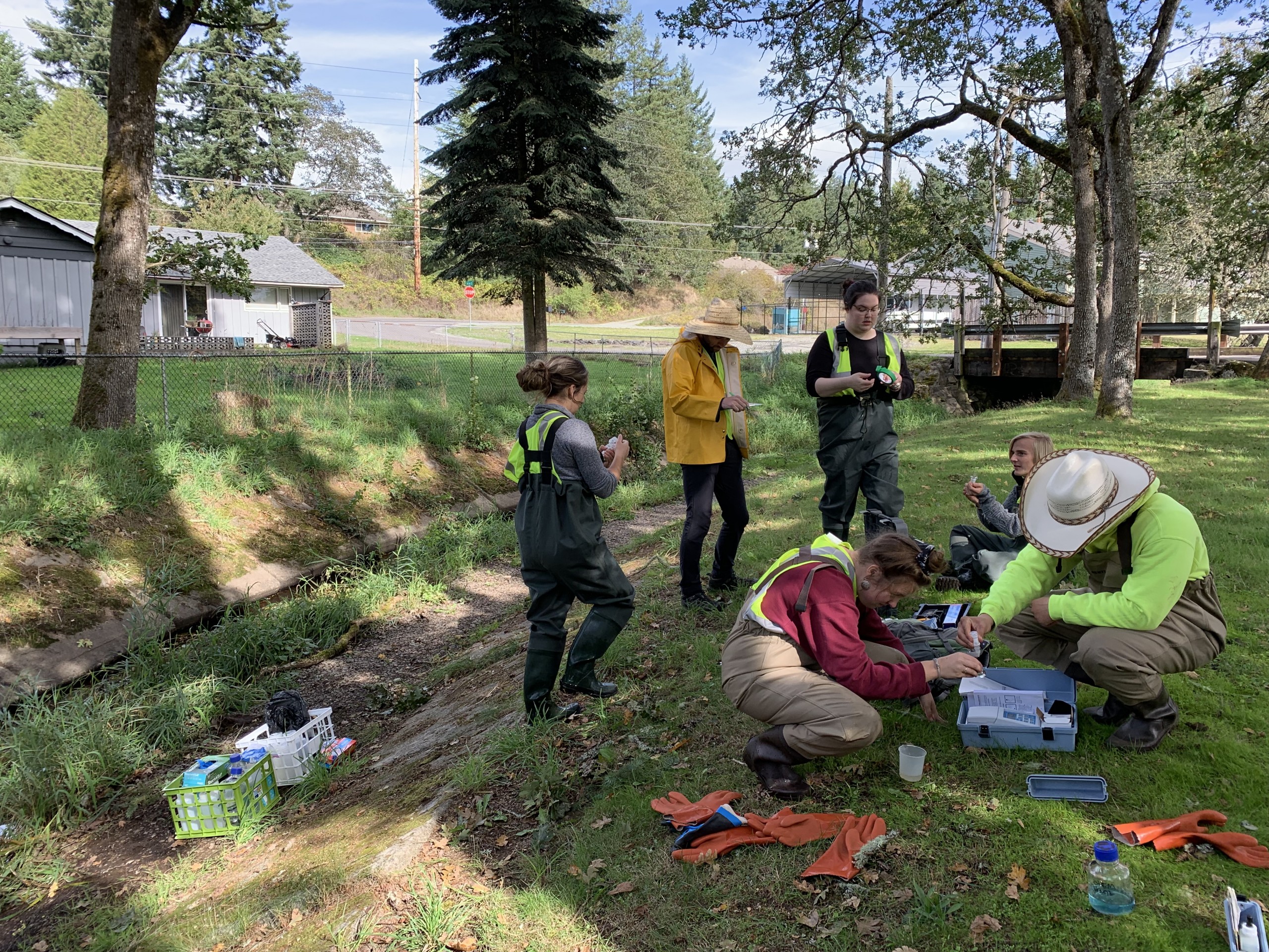 Photos of PLU students collecting samples near a stream bed.