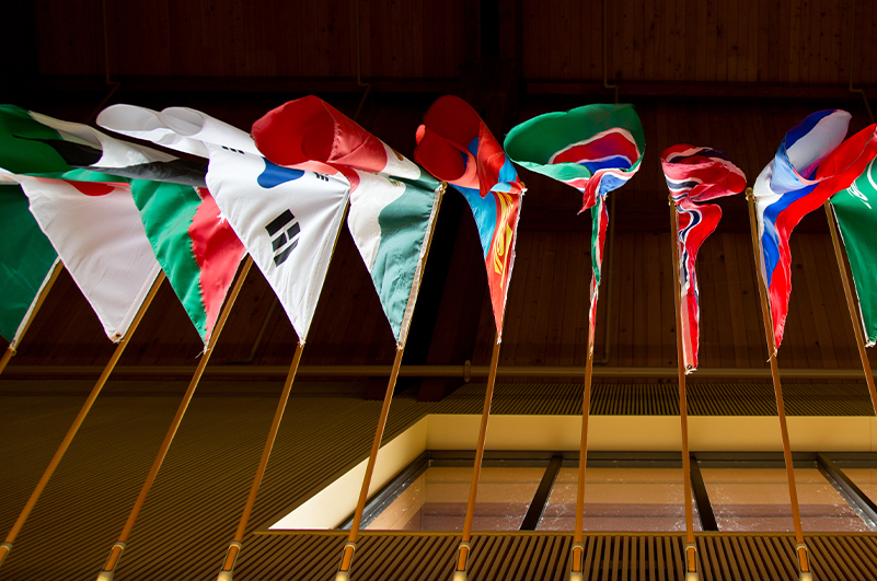 Flags from all over the world mounted in a row on the wall of PLU's Anderson University Center.