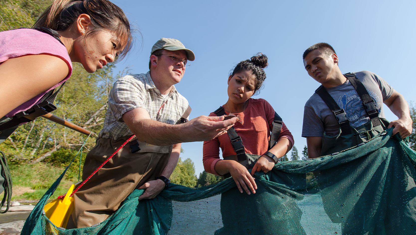 Jacob Egge's biology class collecting specimens in the Nisqually river. Thursday, Sept. 14, 2017. (Photo: John Froschauer/PLU)