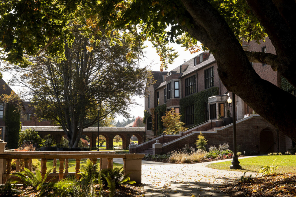 Courtyard with brick pathway next to a stone building with a large tree in the foreground.