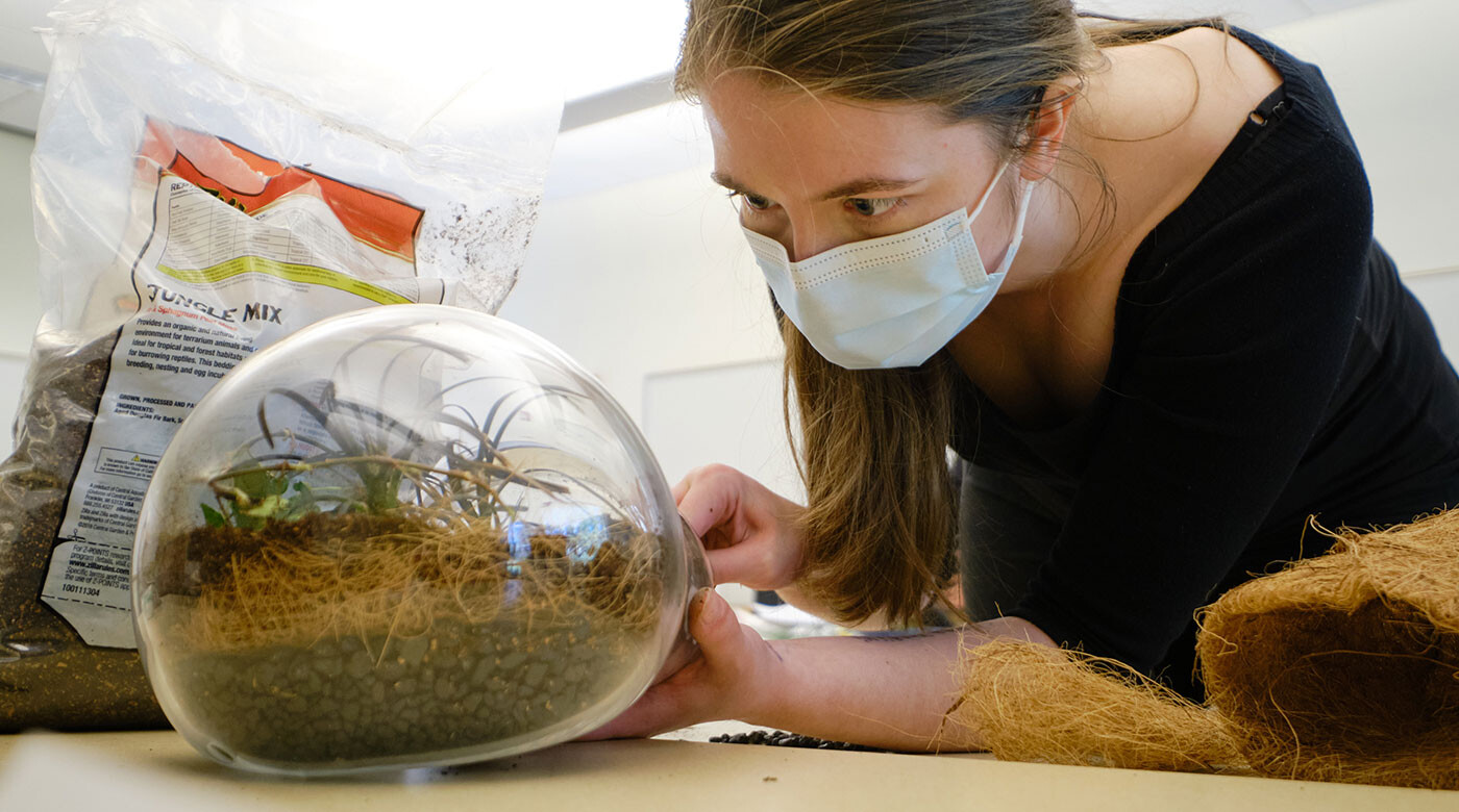 Students work on building terraria in Prof. Daniel Heath's IHON class, Tuesday, April 5, 2022, at PLU