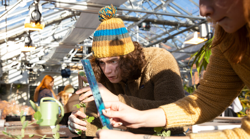 A close up photo of a PLU student wearing a yellow and blue stripped ski cap and a brown sweater leaning in and looking closely at a plant in the PLU greenhouse. Another student who is partially pictured holds a ruler that they are using to measure the plant.