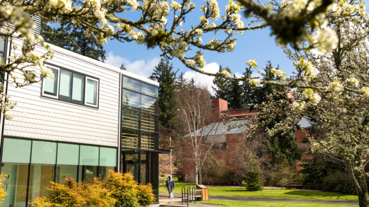 A photo of the Morken Building on a sunny spring day. There is a student walking into the building's back door. A tree branch in the foreground stretches over the top of the photo.
