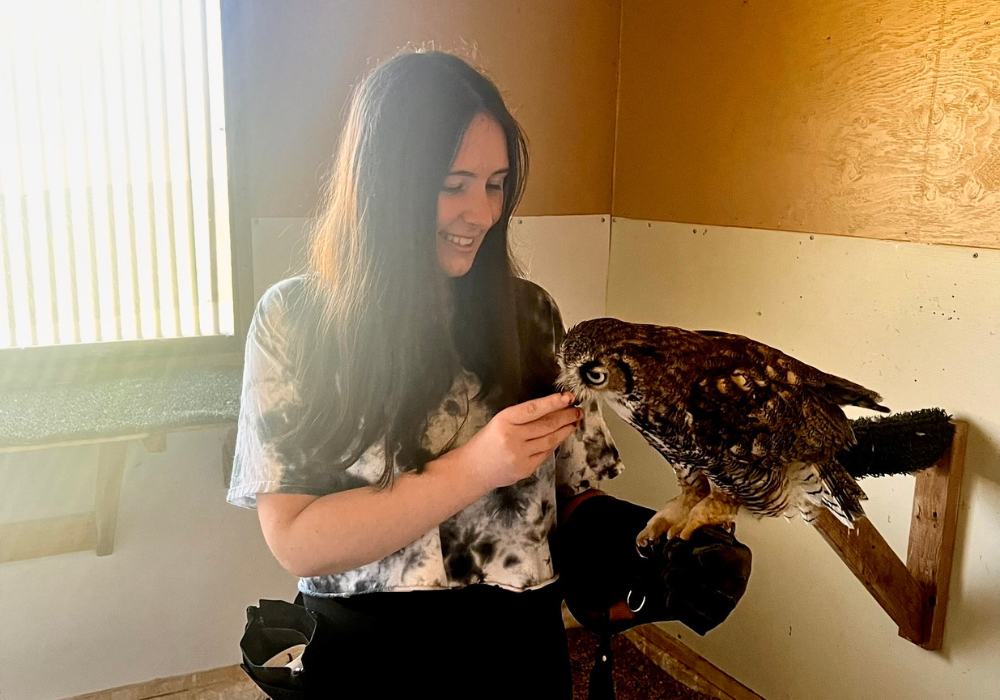 PLU Student feeding an Owl