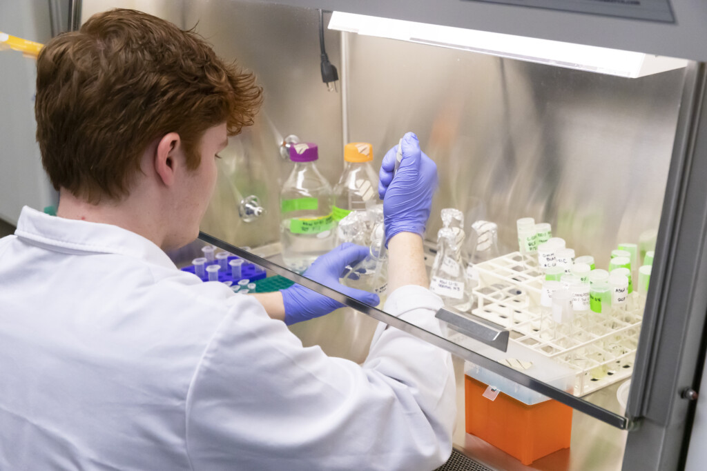 A student is wearing a white lab coat has red hair and is working under a hood using a pipette in the lab.