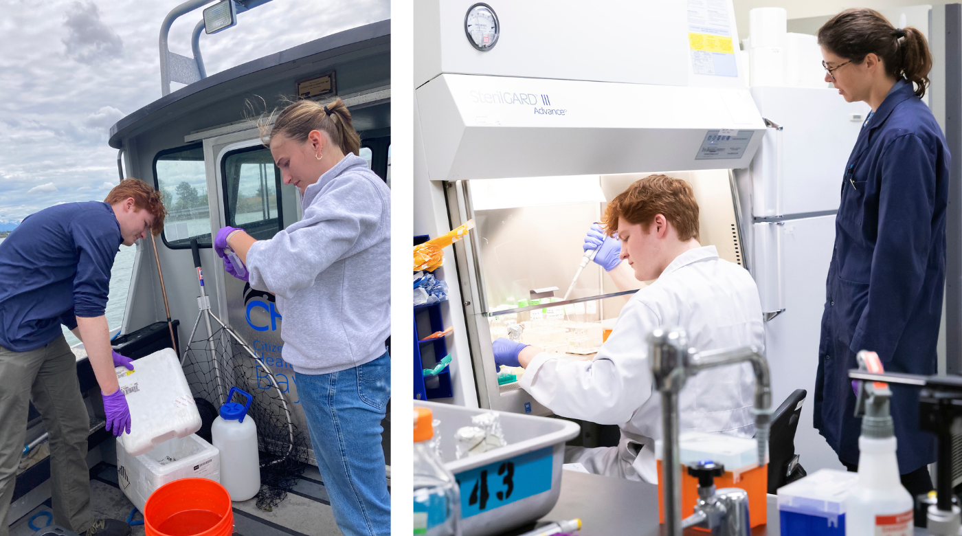 marine research in lab 1a
