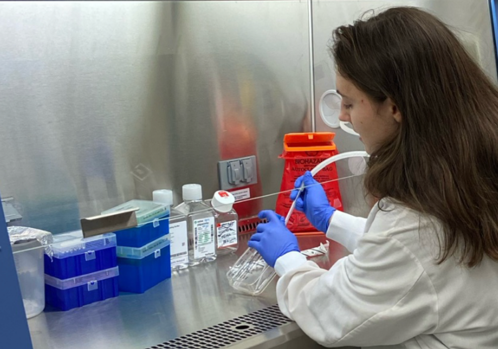 Margaret Murdoch PLU Student working with cells in a biohazard fume hood.
