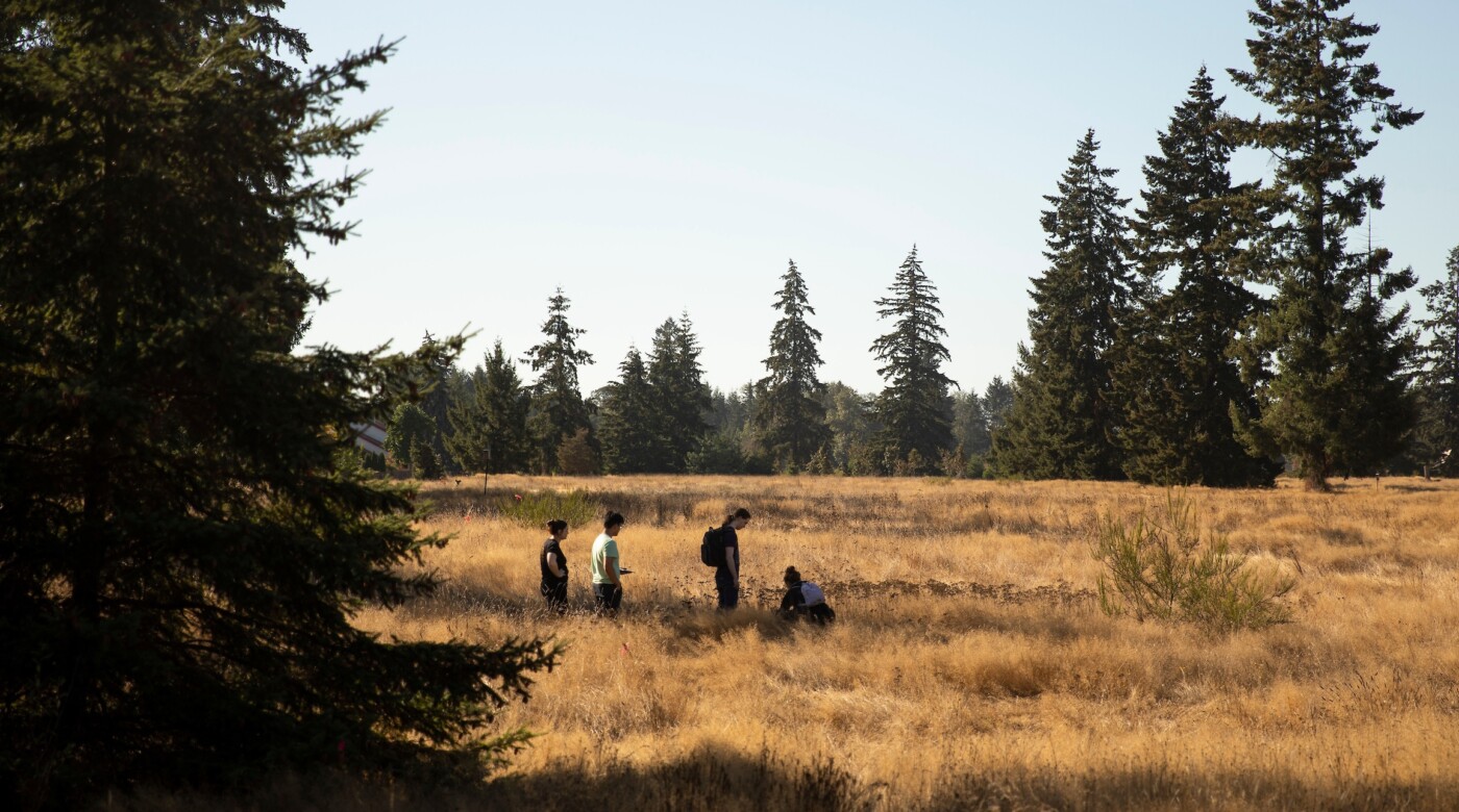 Four students from a biology course study ecology in PLU's on-campus prairie.