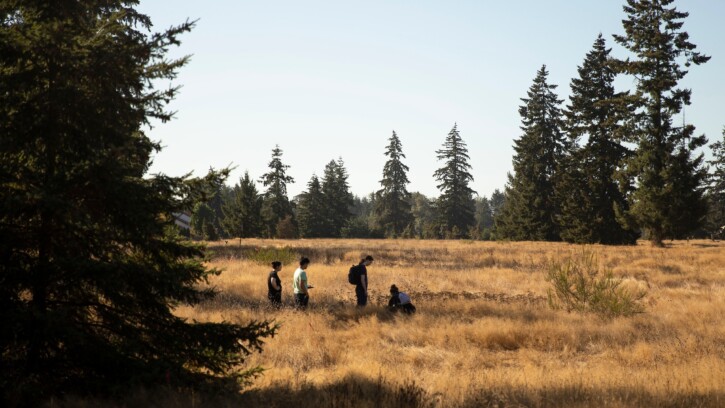 Four students from a biology course study ecology in PLU's on-campus prairie.