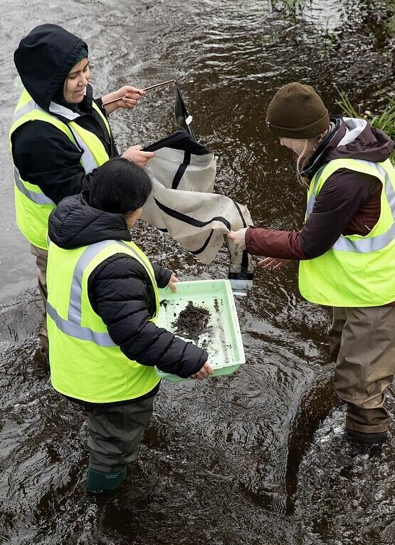 20240301_SB_ENVT-350-Field-Trip_022-medium Students in environmental studies course collect samples at the local Clover Creek Watershed.