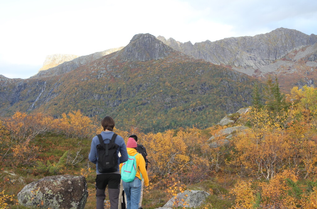 Delaney and a group of international friends hiking through mountains with fall foliage.