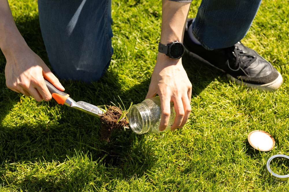 Vincent collects soil samples on PLU’s campus for his capstone project comparing radiation levels here to levels near Mount St. Helens.