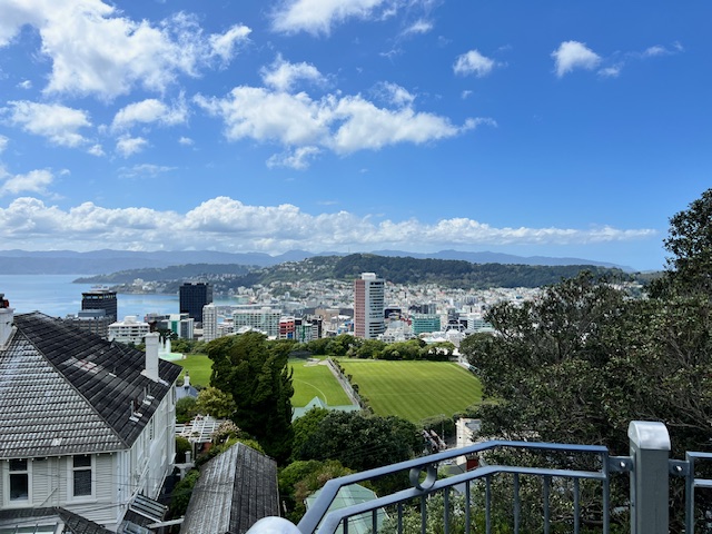 A view of Wellington, New Zealand from a path that Calvin frequented near the Wellington Botanical Garden. A view of Wellington, New Zealand from a path that Calvin frequented near the Wellington Botanical Garden.