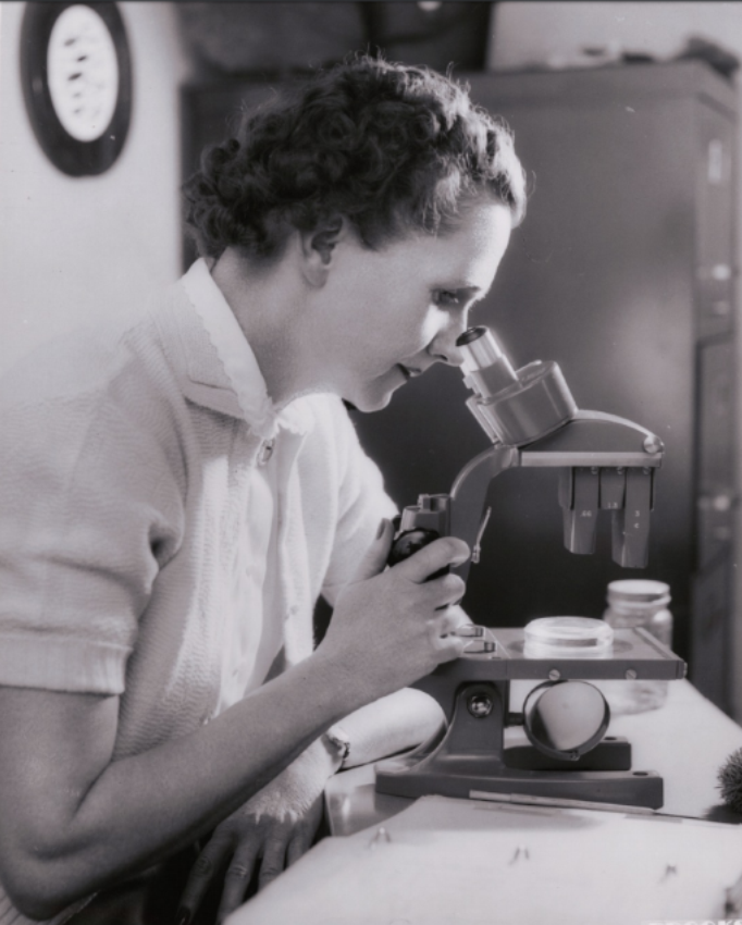 rachel carson with microscope