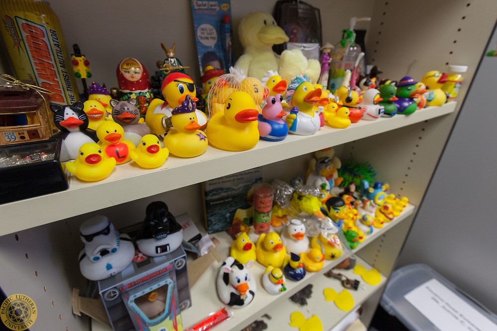 Solar Powered Dancing DuckSunnie Duckies 