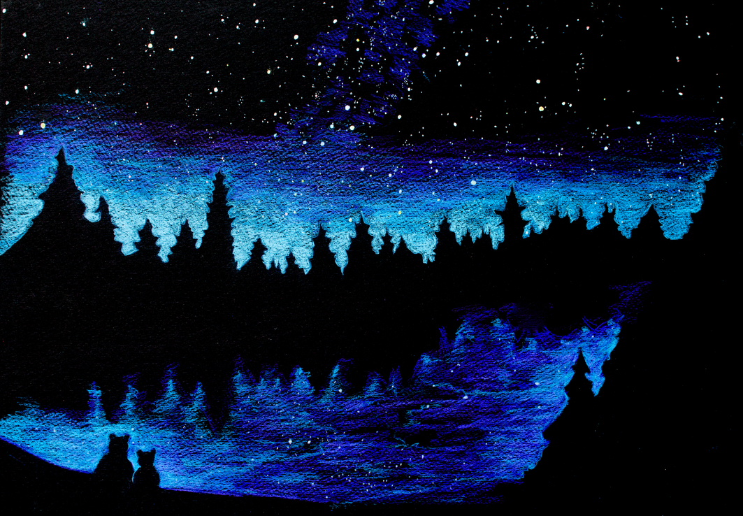 illustration of a night sky over a lake and trees