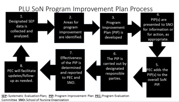 SoN Improvement Plan Process