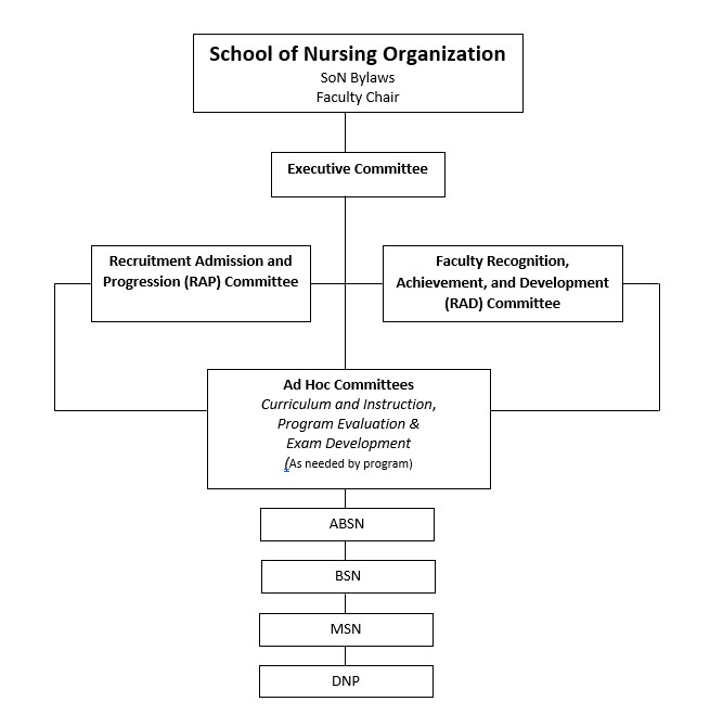 SoN Governance Chart 8.2022