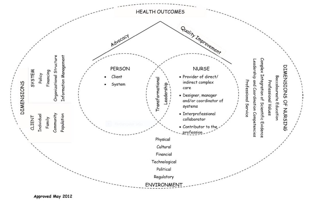 MSN Conceptual Framework