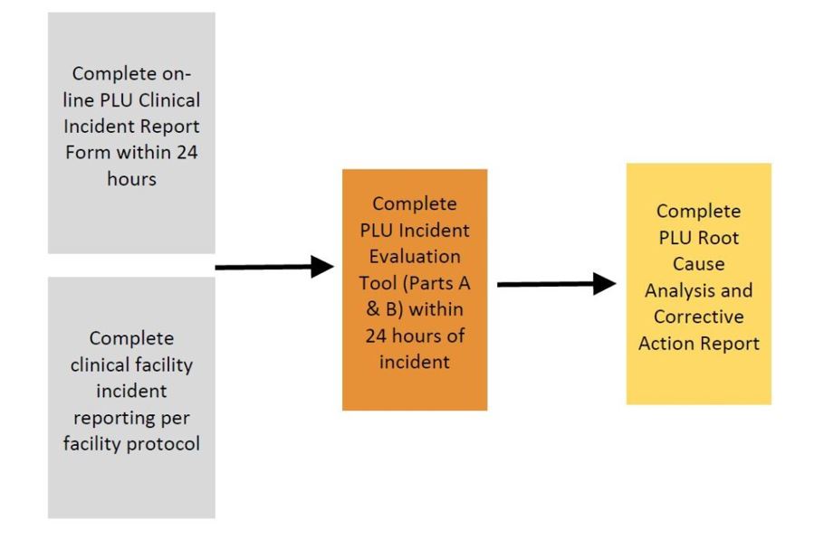 3 step clinical incident process