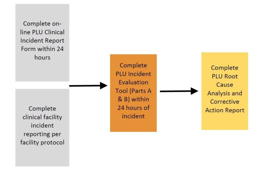 3 step clinical incident process 3 step clinical incident process