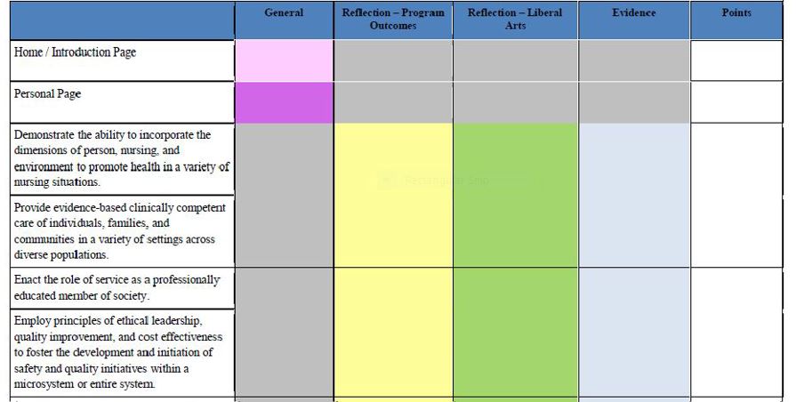 MSN Portfolio Rubric 1