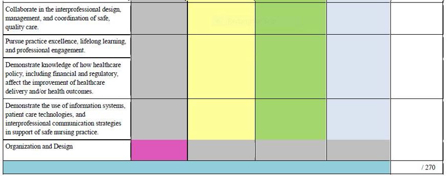 MSN Portfolio Rubric 2