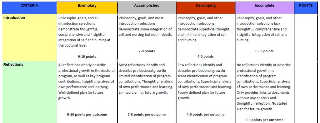 DNP Portfolio Rubric 1