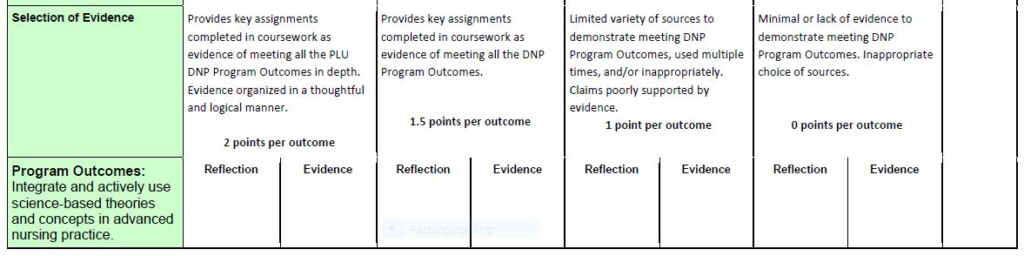 DNP Portfolio Rubric 2