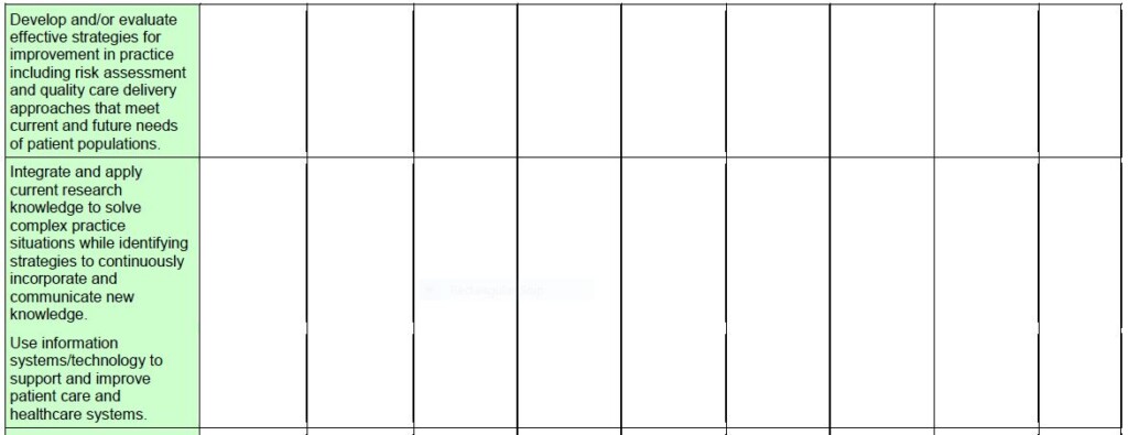 DNP Portfolio Rubric 3