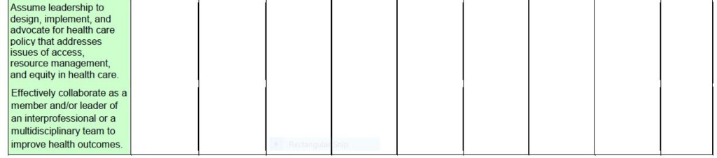 DNP Portfolio Rubric 4