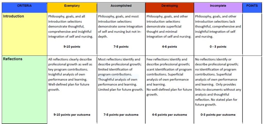 MSN Portfolio Rubric 1