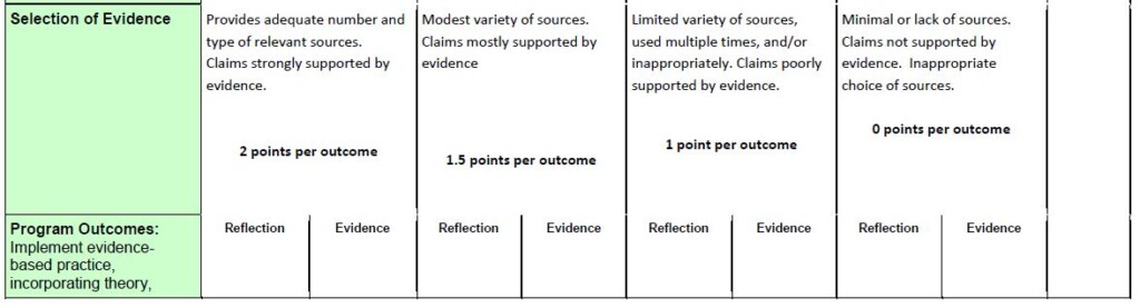 MSN Portfolio Rubric 2