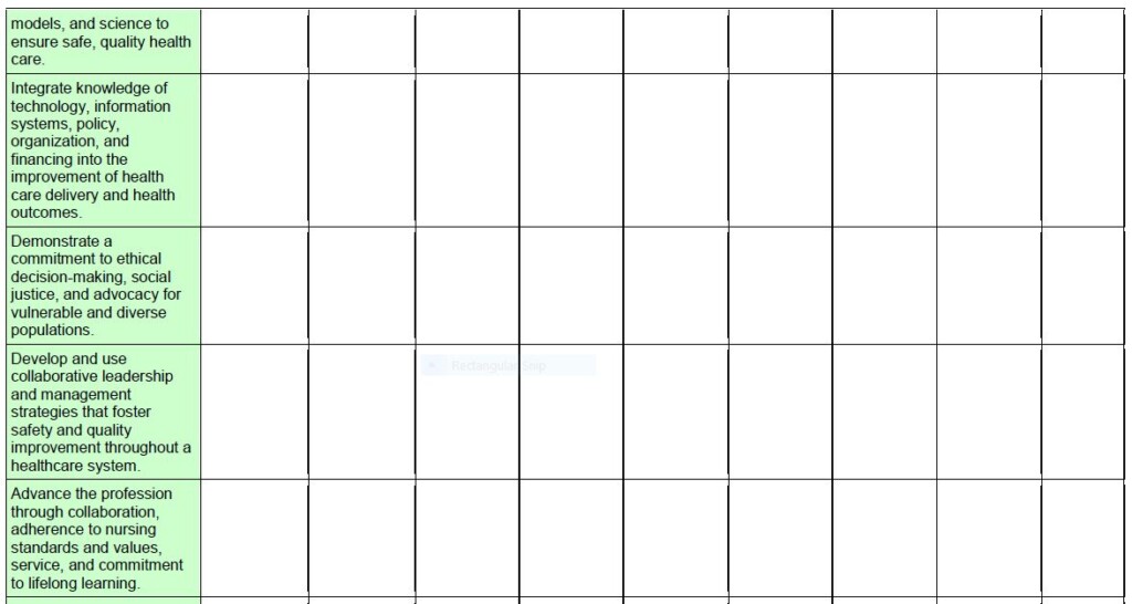 MSN Portfolio Rubric 3