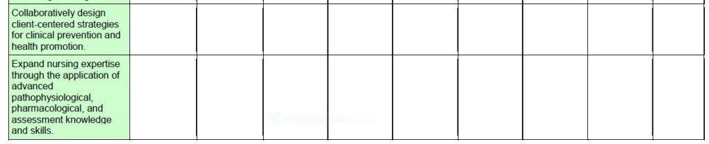 MSN Portfolio Rubric 4