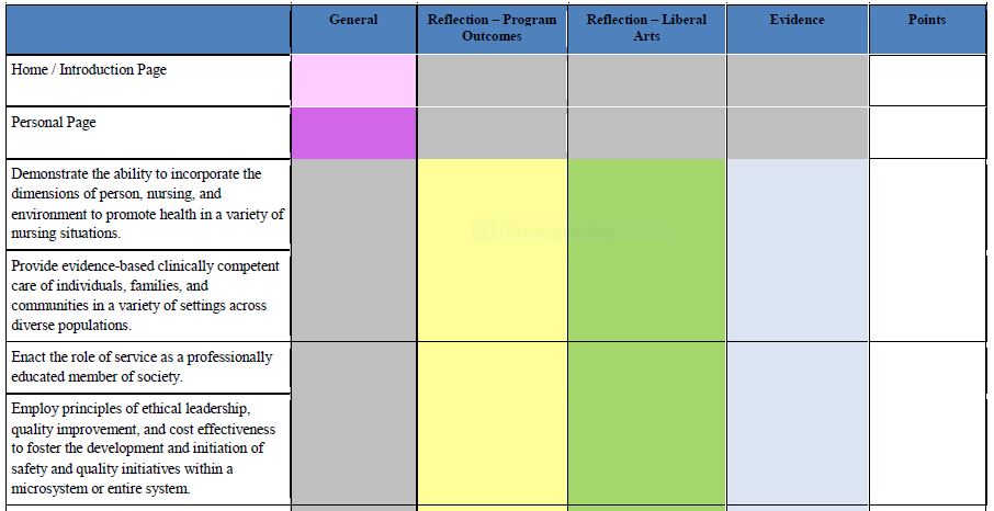 Trad BSN new 3 Traditional BSN Portfolio Rubric New Curriculum 3