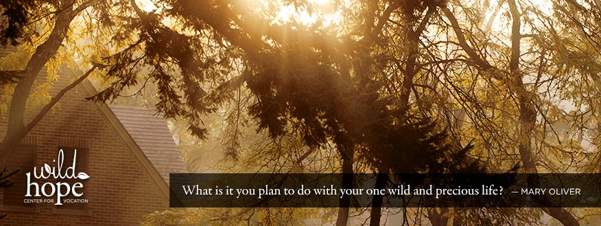 Wild Hope banner - What is it you plan to do with your one wild and precious life? - Mary Oliver