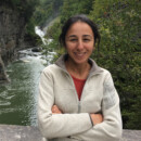 Professor Yeliz Celik