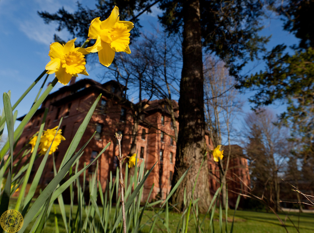 Harstad in the spring