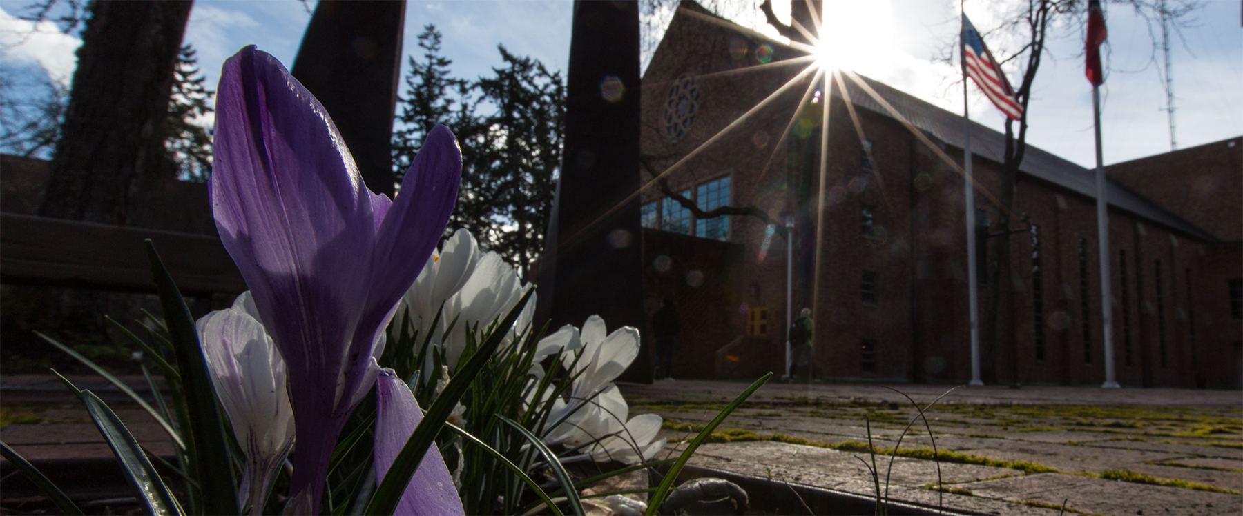 Mary Hille Phillips Center for the Performing Arts with crocus blooming