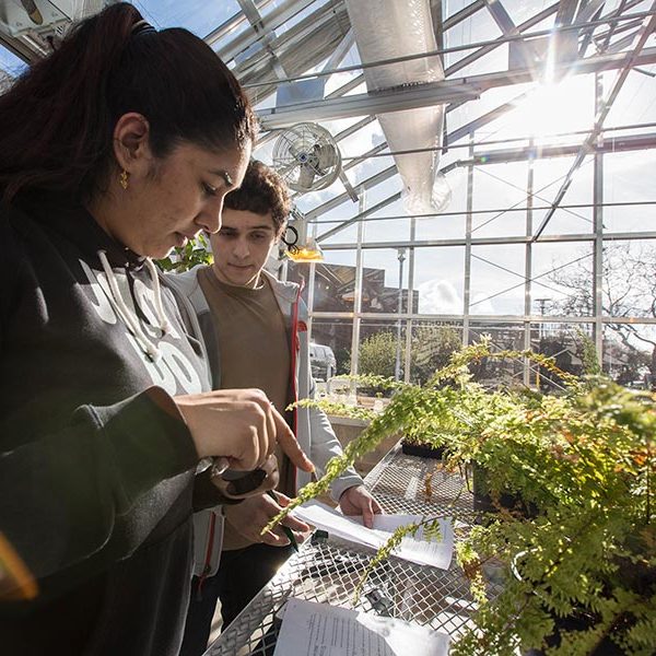 PLU students inside a greenhouse looking at plants