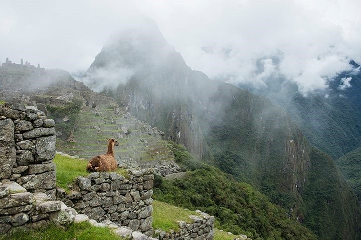 Bergman Machi Pichu