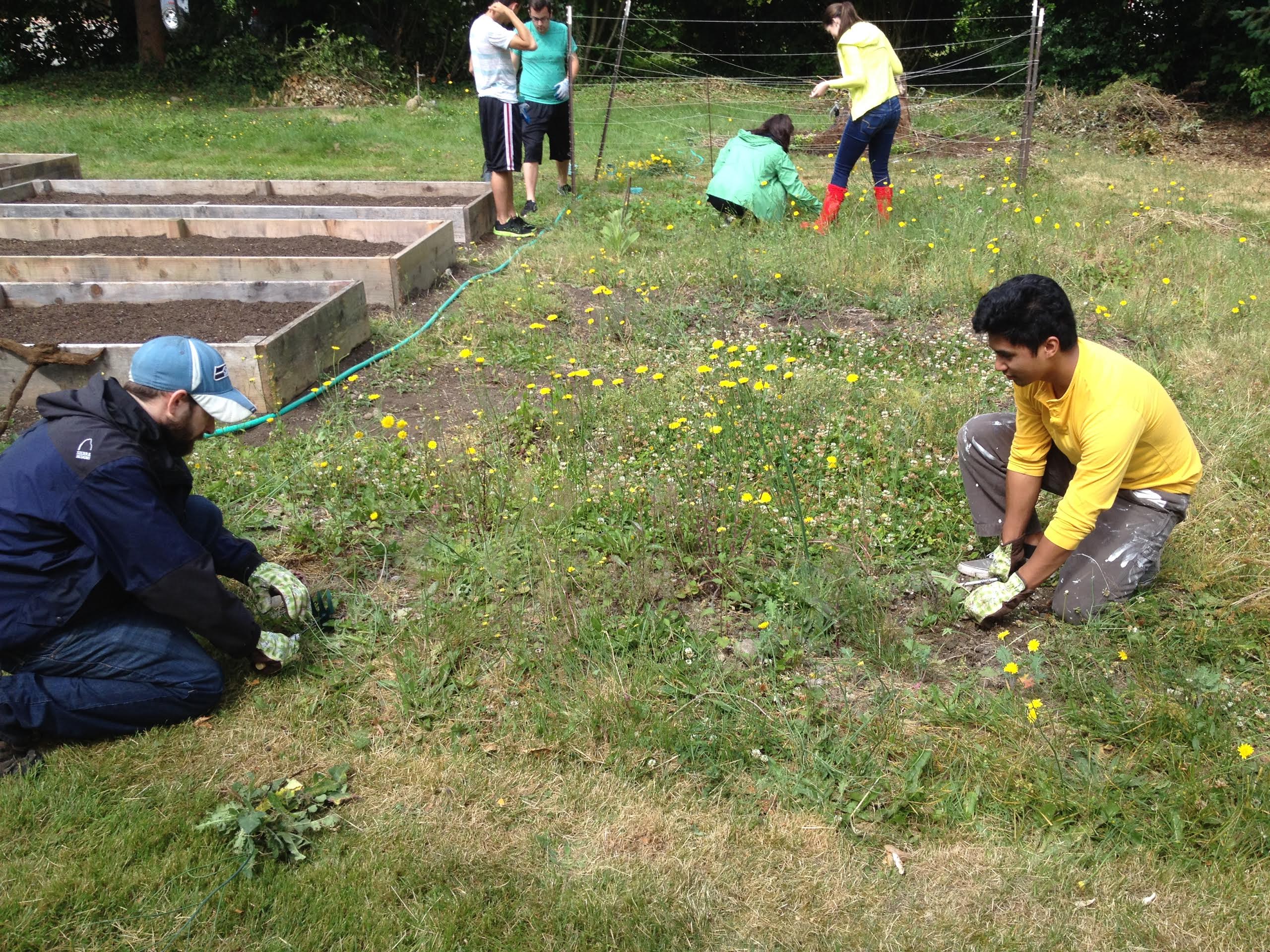 Community Garden