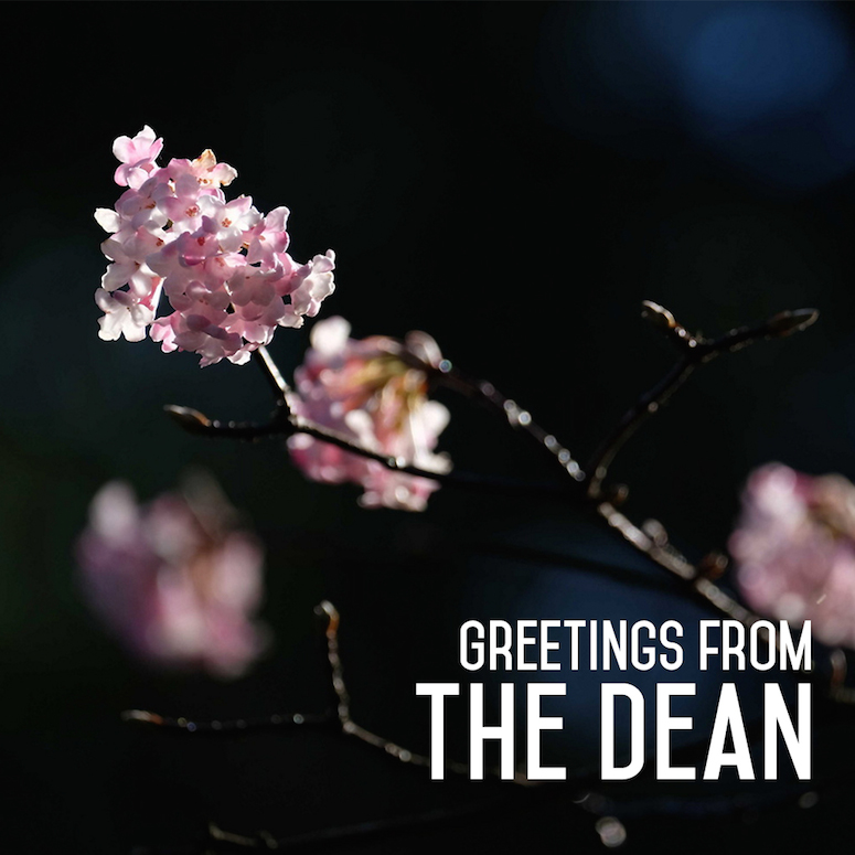 Greetings from the Dean - pink flowers on dark background