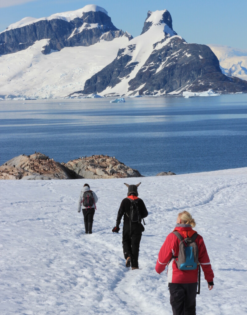 15d Antarctica