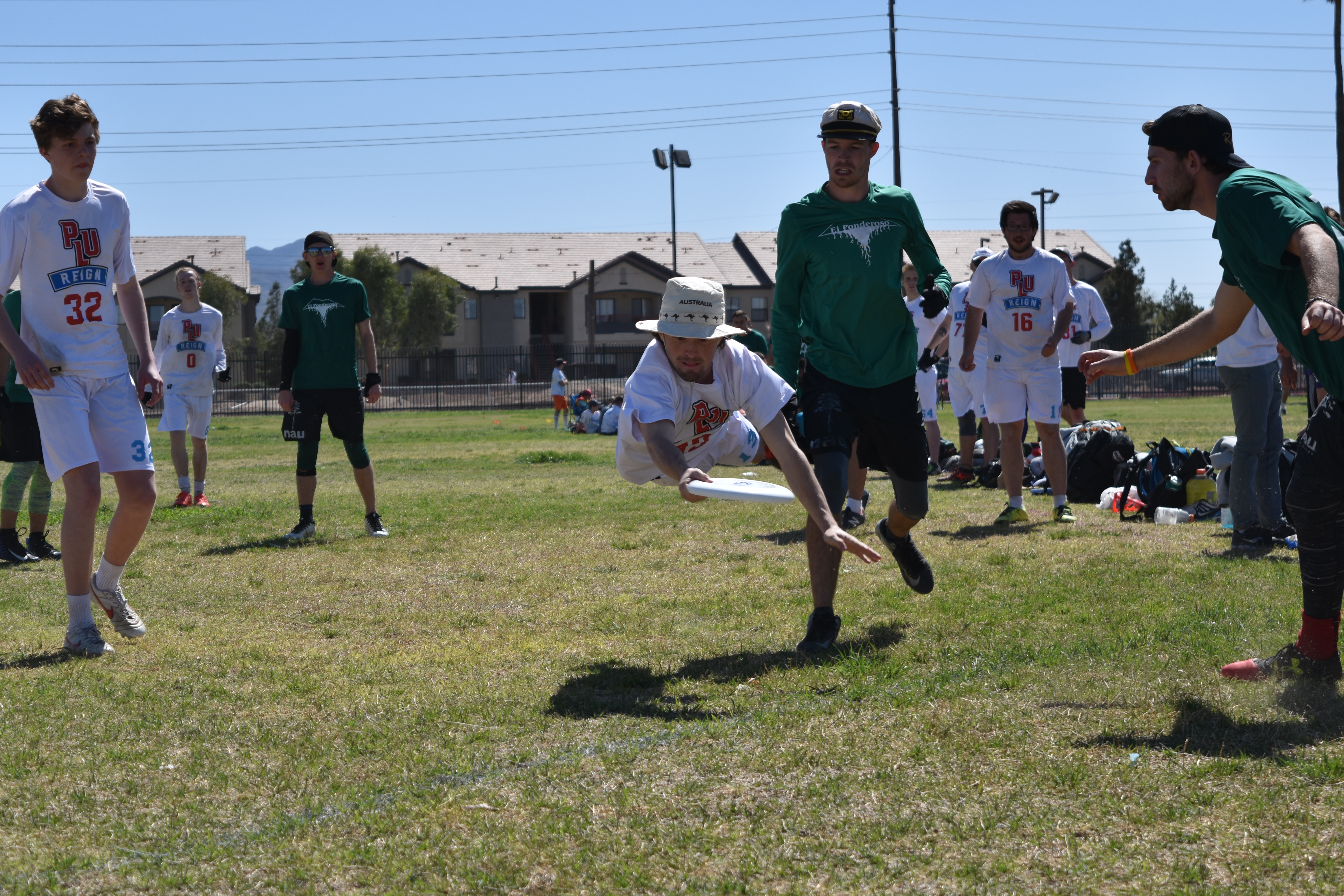 Frisbee player diving for disc