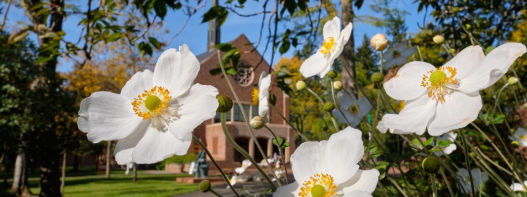 PLU Campus Flowers