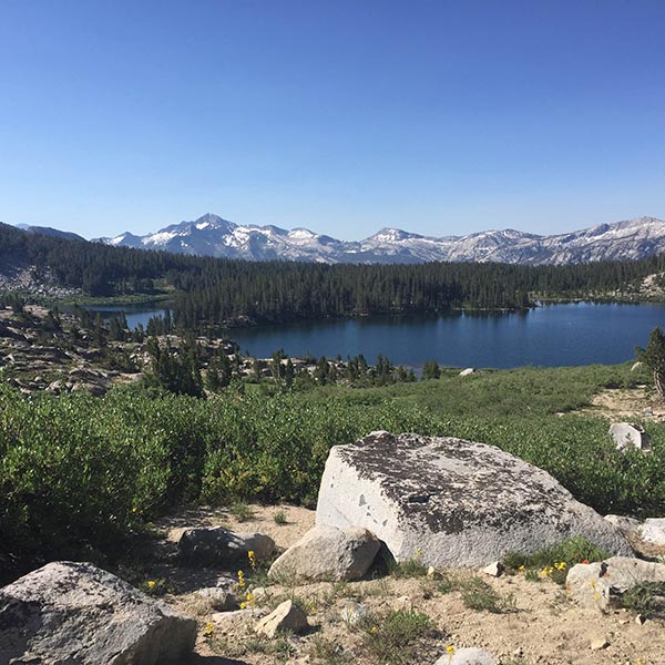 Photo of an area of the Pacific Crest Trail