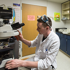 Jon Freeman looking into a microscope during his summer research
